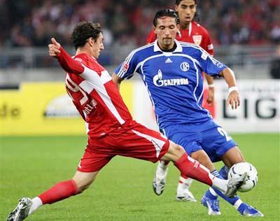 起了广泛的 起了广泛的